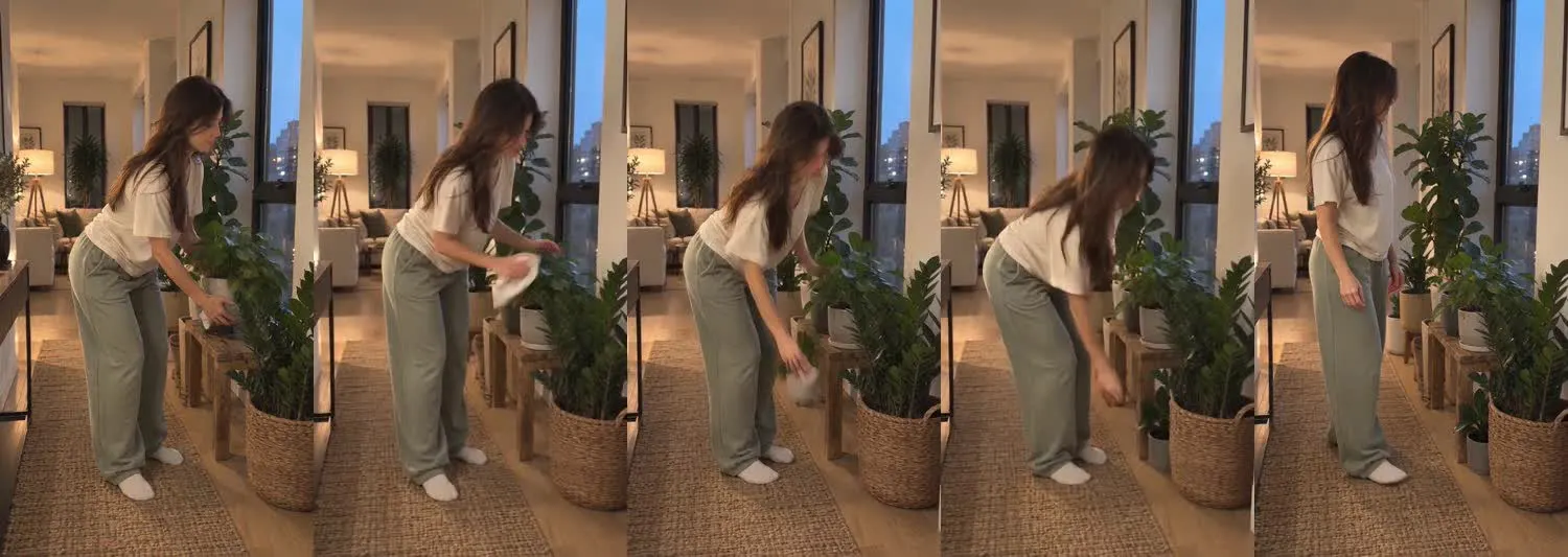 Five frames from the clip, left to right: Iris · one_take · evening plant corner reset